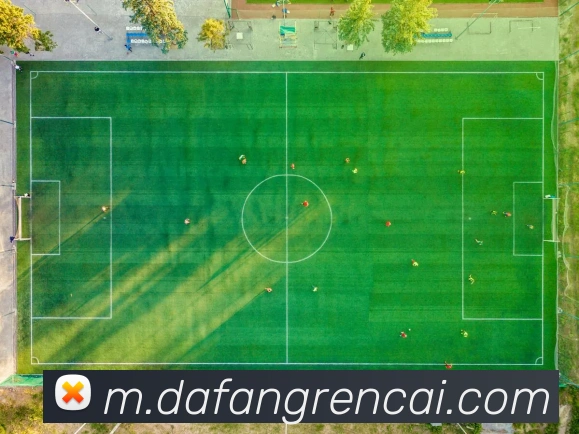 大发彩票服务体系